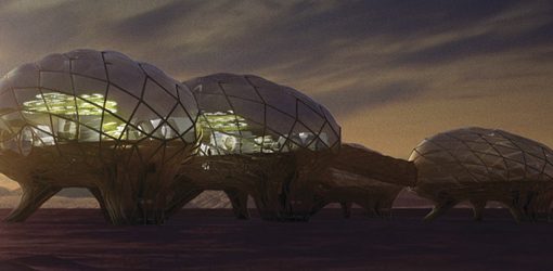 Results of the 5th Advanced Architecture Contest