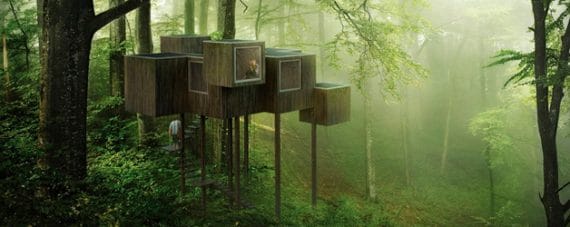 Results of the Competition Triumph Architectural Treehouse Award 2014