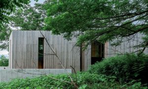 PLATINUM-WINNER-Forest-Archetype-Residential-Interior-Design-Genta-TAKANO-GLA-Japan.jpg