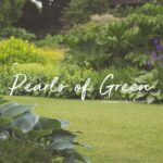 POG_Cover1-1.jpg