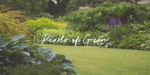 POG_Cover1.jpg Pearls of green - Landscape design competition
