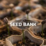 Seedbank_2.0Cover-1.jpg