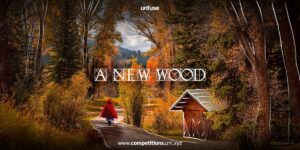 a-new-wood-cover.jpg A New Wood - Re-imagining Red Riding Hood’s Journey through Architecture